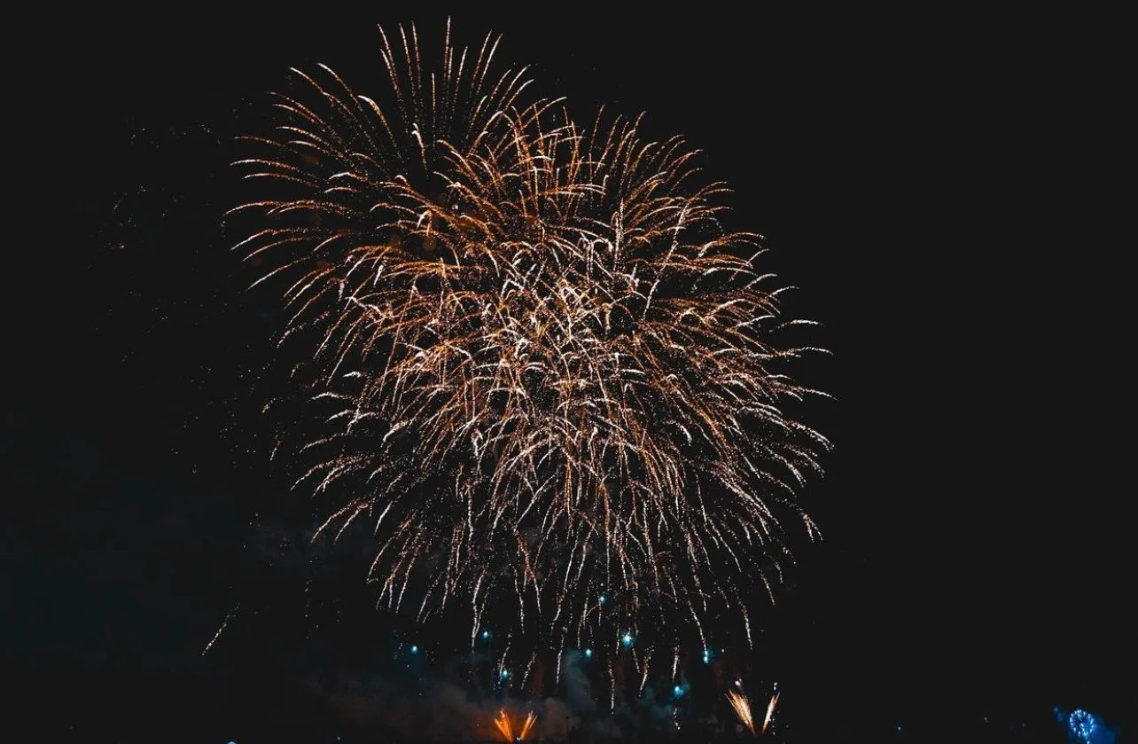 Crowd cheering during the fireworks